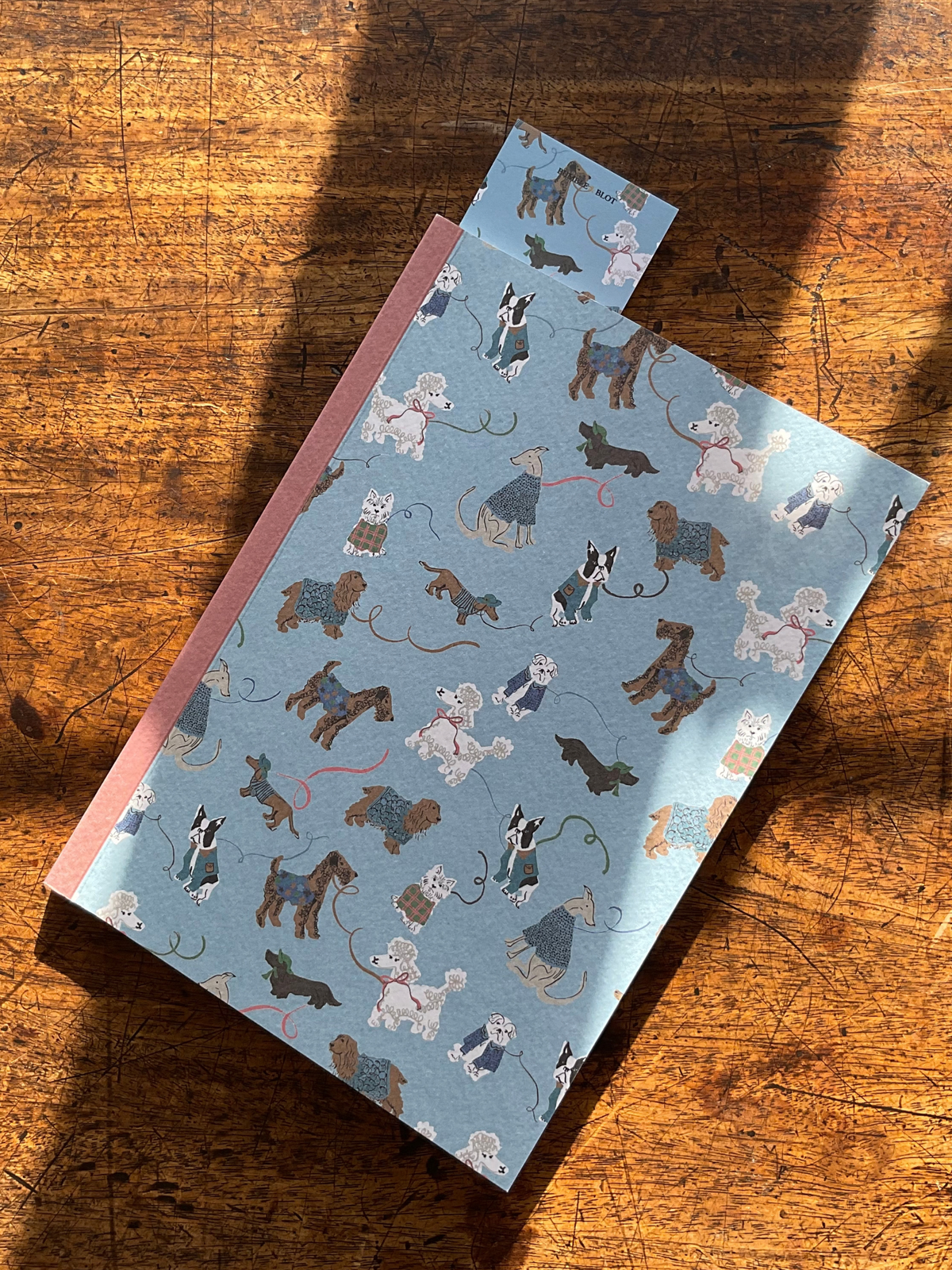 Dog Walks Journal - Pale Blue