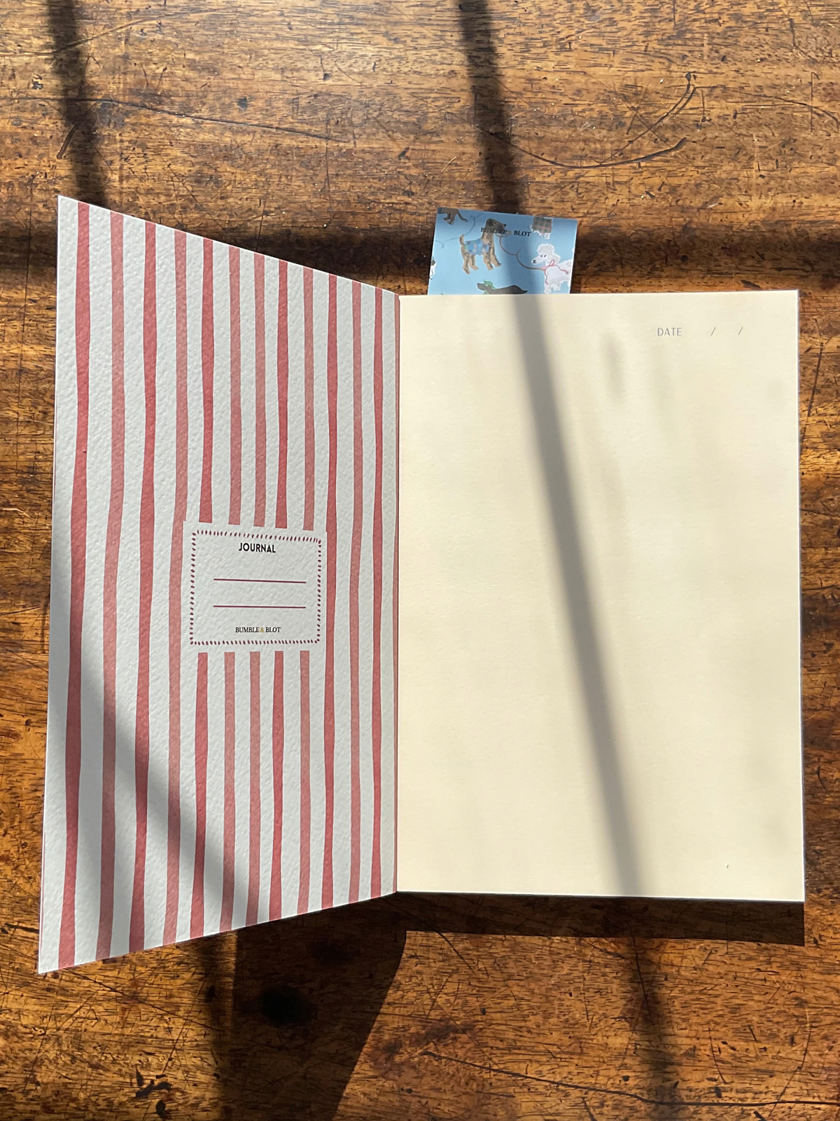 Dog Walks Journal - Pale Blue