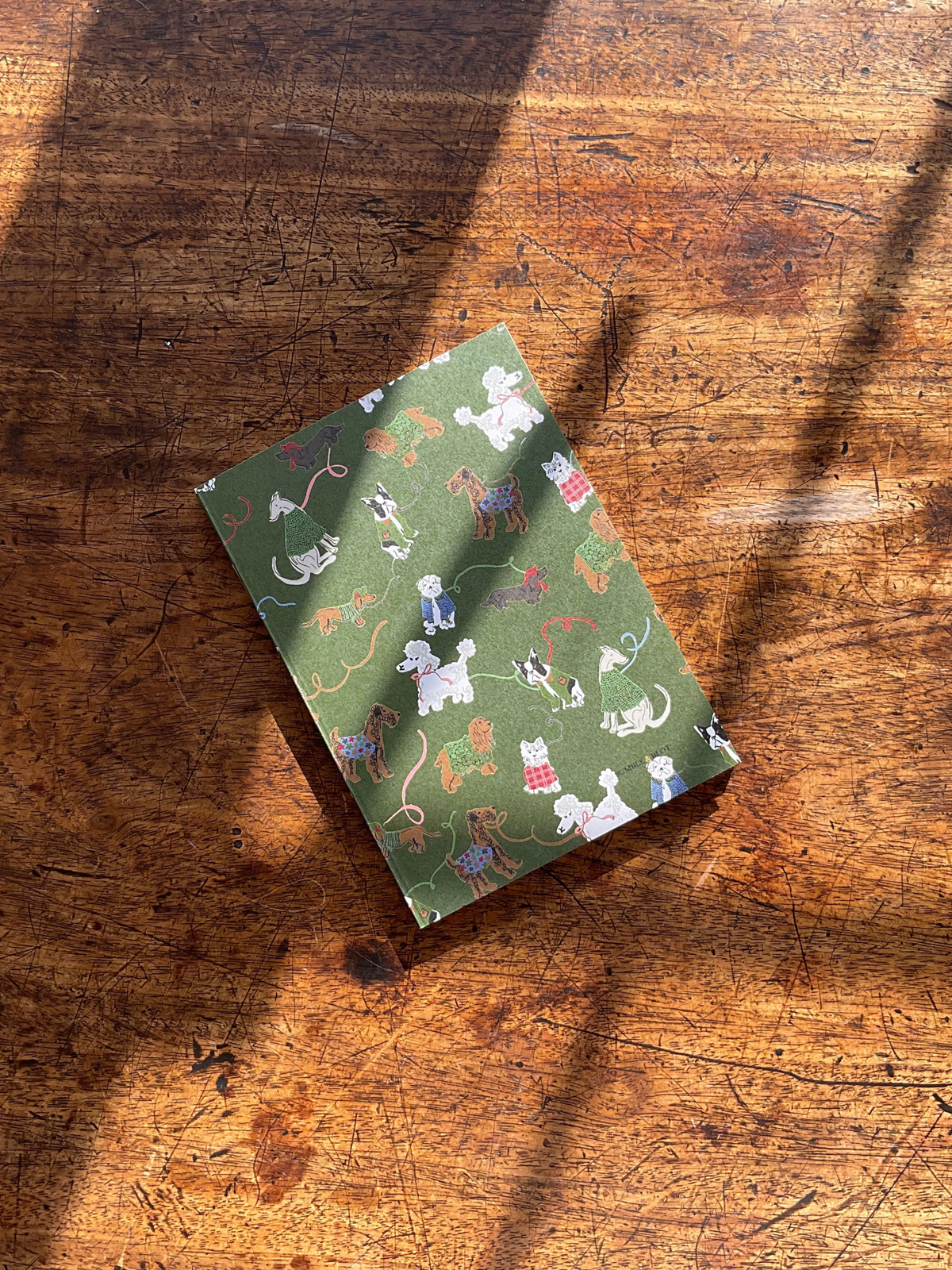 Dog Walks & Dot Dash Trellis A6 Notebook Set - Green