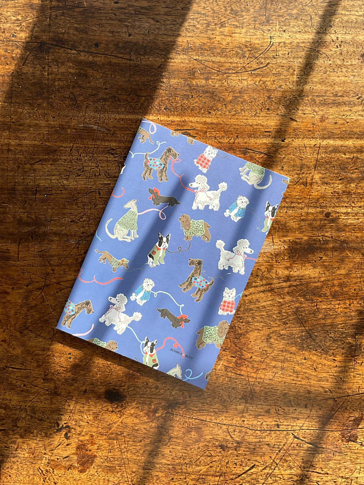 Dog Walks & Checker Board A5 Notebook Set - Mid Blue & Multi